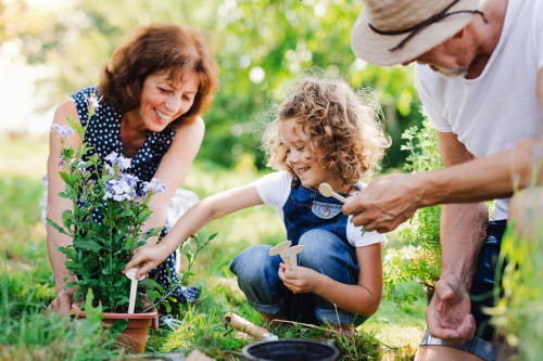 This image: two grandparents assist their grandchild in potting out some plants in an allotment garden. The map: the map has zoomed into the proposed site itself, showing illustrative landscaping. and map labels and markers. Clicking on the map markers opens illustrative photos of how the green infrastructure may look around the site.
